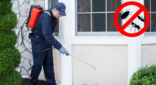 Kelkit Gümüşkurt İlaçlama böcek ilaçlama ve haşere kontrolü — ilaclama-tr.com